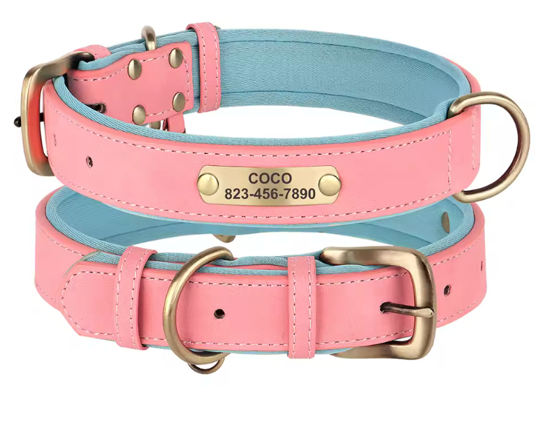 Custom engraved oet collar